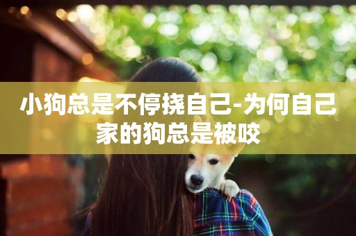 小狗總是不停撓自己-為何自己家的狗總是被咬