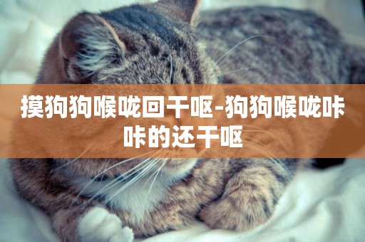 摸狗狗喉嚨回干嘔-狗狗喉嚨咔咔的還干嘔