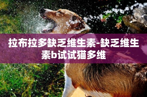 拉布拉多缺乏維生素-缺乏維生素b試試貓多維