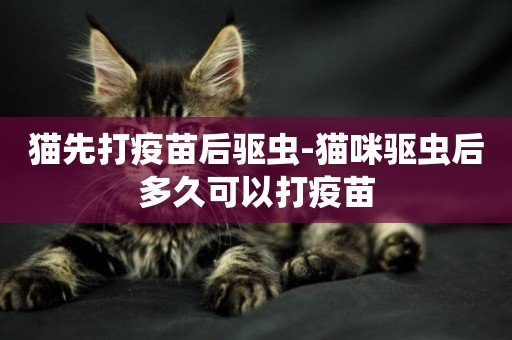 貓先打疫苗后驅蟲-貓咪驅蟲后多久可以打疫苗