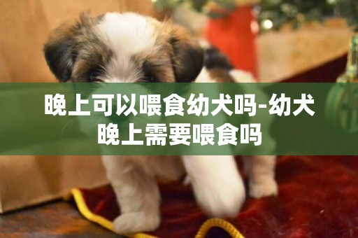 晚上可以喂食幼犬嗎-幼犬晚上需要喂食嗎