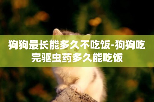 狗狗最長能多久不吃飯-狗狗吃完驅蟲藥多久能吃飯