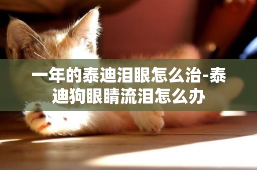 一年的泰迪淚眼怎么治-泰迪狗眼睛流淚怎么辦