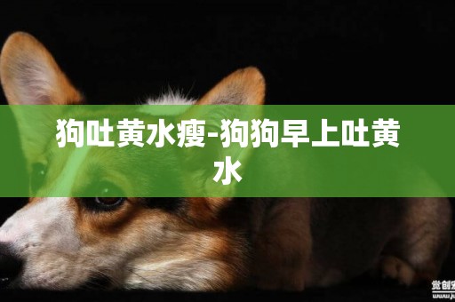 狗吐黃水瘦-狗狗早上吐黃水