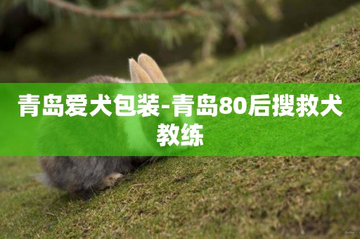 青島愛犬包裝-青島80后搜救犬教練