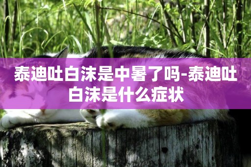 泰迪吐白沫是中暑了嗎-泰迪吐白沫是什么癥狀