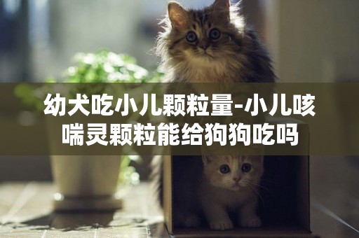 幼犬吃小兒顆粒量-小兒咳喘靈顆粒能給狗狗吃嗎