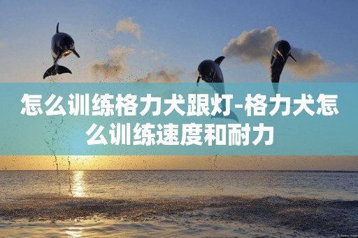 怎么訓練格力犬跟燈-格力犬怎么訓練速度和耐力