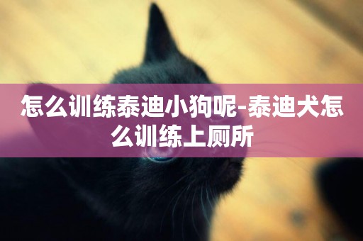 怎么訓練泰迪小狗呢-泰迪犬怎么訓練上廁所