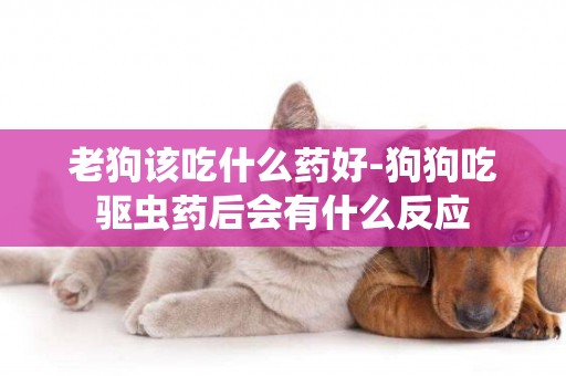 老狗該吃什么藥好-狗狗吃驅蟲藥后會有什么反應