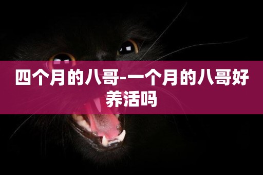 四個月的八哥-一個月的八哥好養活嗎