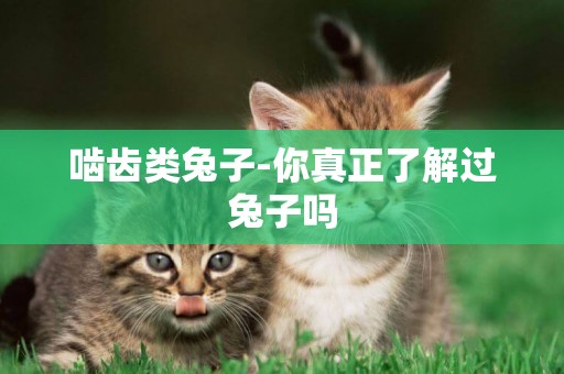 嚙齒類兔子-你真正了解過兔子嗎