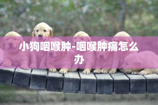 小狗咽喉腫-咽喉腫痛怎么辦