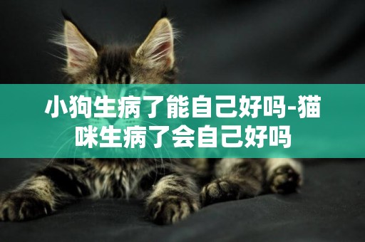 小狗生病了能自己好嗎-貓咪生病了會自己好嗎