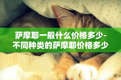 薩摩耶一般什么價格多少-不同種類的薩摩耶價格多少錢