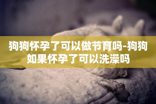 狗狗懷孕了可以做節育嗎-狗狗如果懷孕了可以洗澡嗎