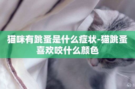 貓咪有跳蚤是什么癥狀-貓跳蚤喜歡咬什么顏色