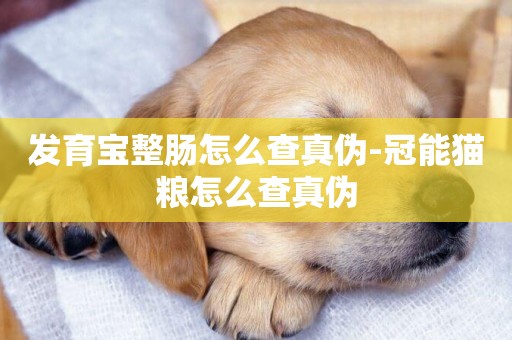 發育寶整腸怎么查真偽-冠能貓糧怎么查真偽
