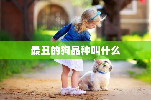 最丑的狗品種叫什么