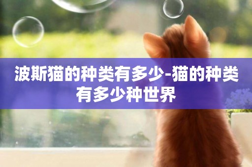 波斯貓的種類有多少-貓的種類有多少種世界