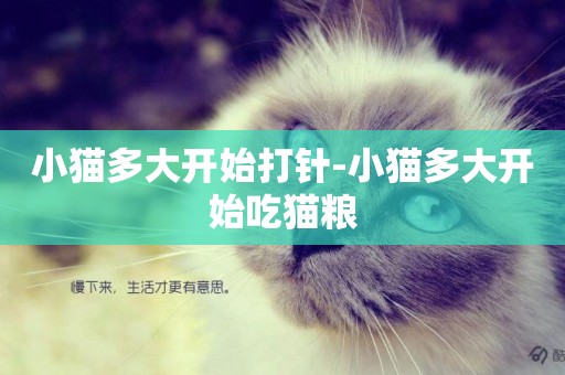小貓多大開始打針-小貓多大開始吃貓糧