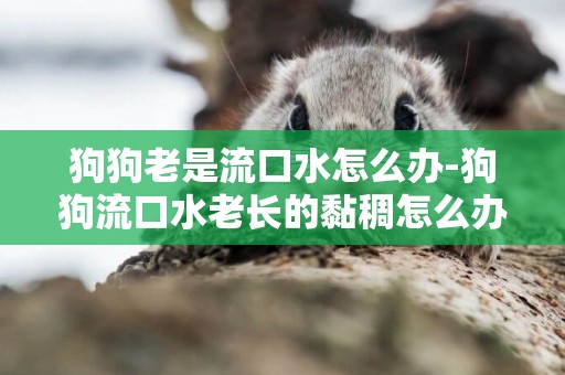 狗狗老是流口水怎么辦-狗狗流口水老長的黏稠怎么辦