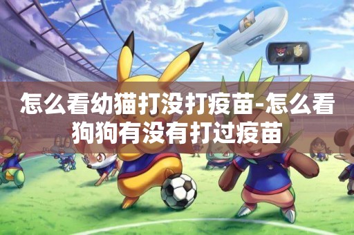 怎么看幼貓打沒打疫苗-怎么看狗狗有沒有打過疫苗