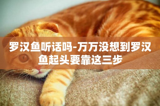 羅漢魚聽話嗎-萬萬沒想到羅漢魚起頭要靠這三步