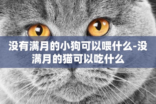 沒有滿月的小狗可以喂什么-沒滿月的貓可以吃什么