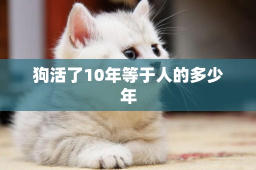 狗活了10年等于人的多少年