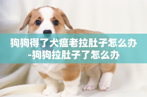 狗狗得了犬瘟老拉肚子怎么辦-狗狗拉肚子了怎么辦