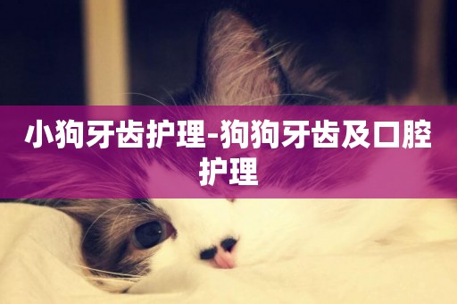 小狗牙齒護理-狗狗牙齒及口腔護理