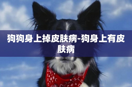 狗狗身上掉皮膚病-狗身上有皮膚病