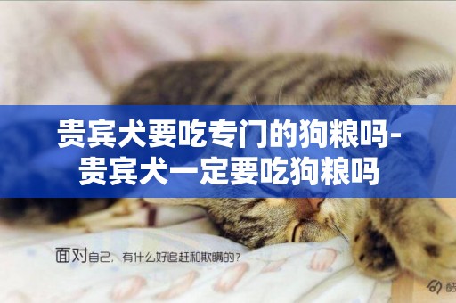貴賓犬要吃專門的狗糧嗎-貴賓犬一定要吃狗糧嗎