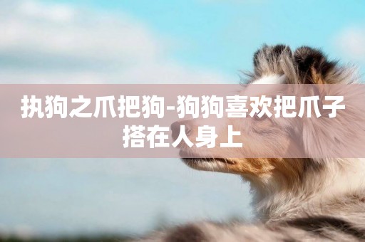 執狗之爪把狗-狗狗喜歡把爪子搭在人身上