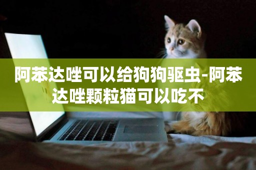 阿苯達唑可以給狗狗驅蟲-阿苯達唑顆粒貓可以吃不