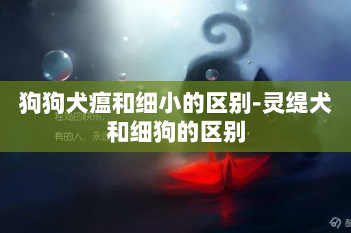 狗狗犬瘟和細小的區別-靈緹犬和細狗的區別