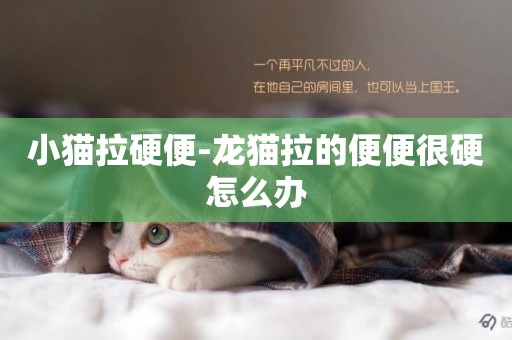 小貓拉硬便-龍貓拉的便便很硬怎么辦