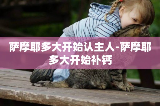 薩摩耶多大開始認主人-薩摩耶多大開始補鈣