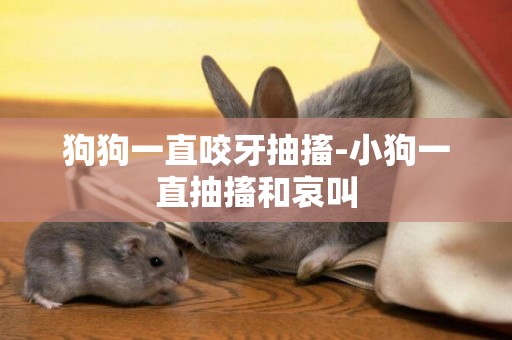 狗狗一直咬牙抽搐-小狗一直抽搐和哀叫