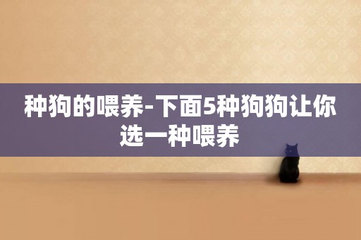 種狗的喂養-下面5種狗狗讓你選一種喂養