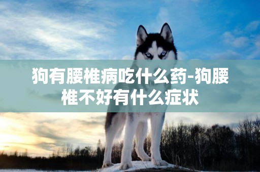 狗有腰椎病吃什么藥-狗腰椎不好有什么癥狀