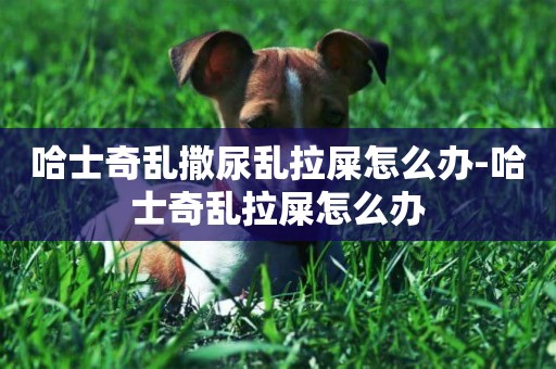 哈士奇亂撒尿亂拉屎怎么辦-哈士奇亂拉屎怎么辦