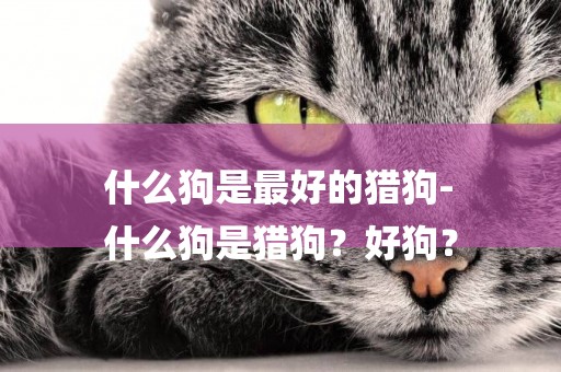 什么狗是最好的獵狗-
什么狗是獵狗？好狗？