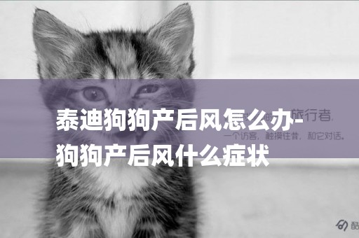 泰迪狗狗產后風怎么辦-
狗狗產后風什么癥狀