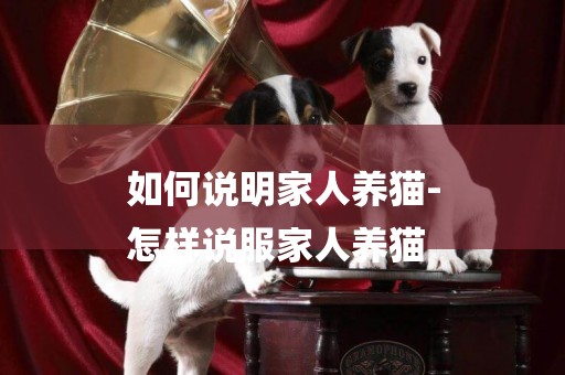 如何說明家人養貓-
怎樣說服家人養貓