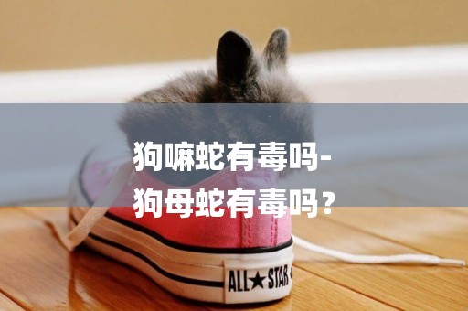 狗嘛蛇有毒嗎-
狗母蛇有毒嗎？