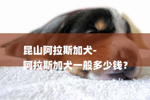 昆山阿拉斯加犬-
阿拉斯加犬一般多少錢？