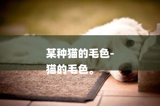 某種貓的毛色-
貓的毛色。