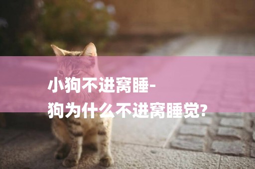 小狗不進窩睡-
狗為什么不進窩睡覺?